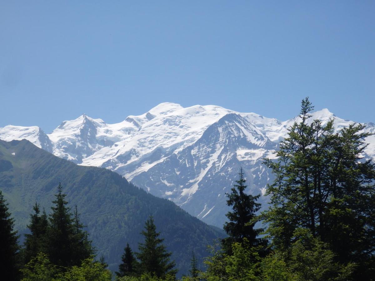 לינה וארוחת בוקר Marignier Au Coeur Des Alpes מראה חיצוני תמונה