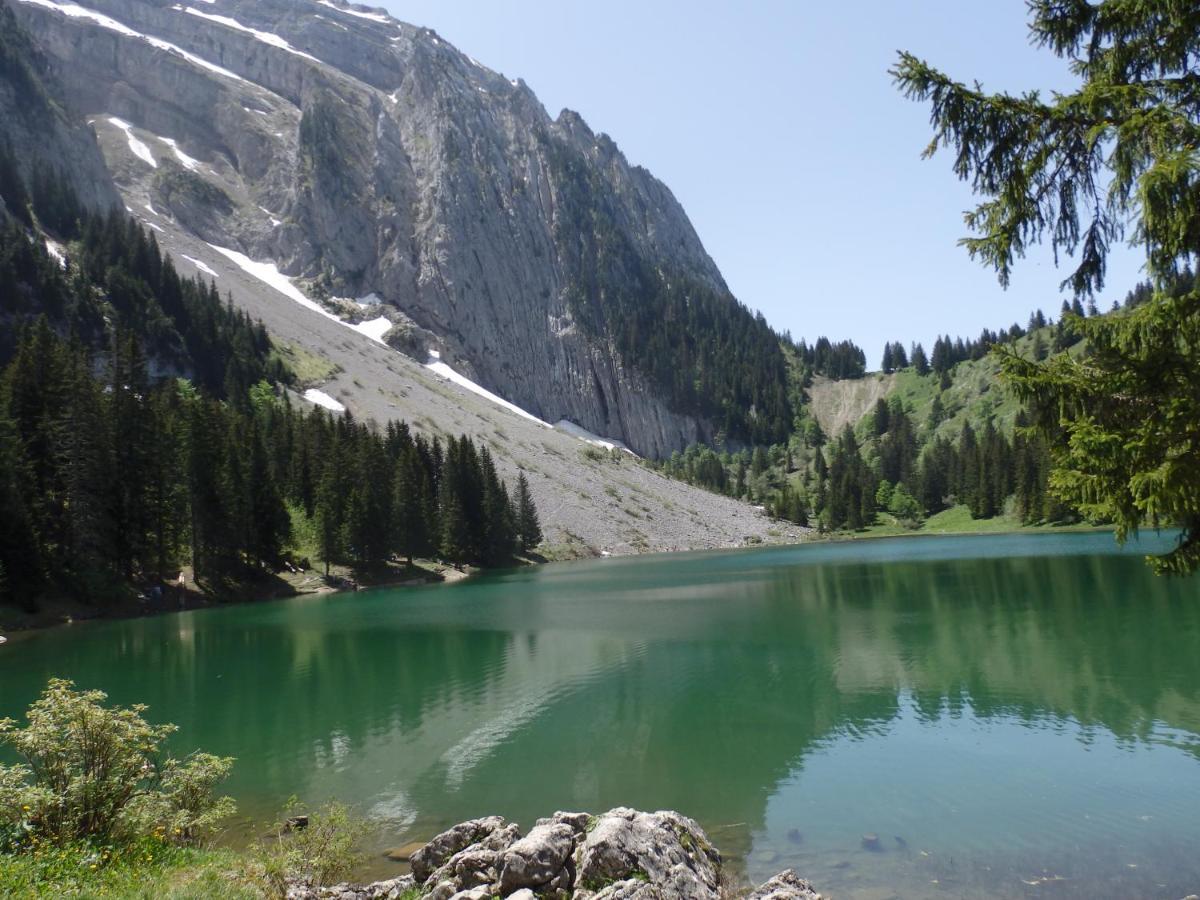 לינה וארוחת בוקר Marignier Au Coeur Des Alpes מראה חיצוני תמונה